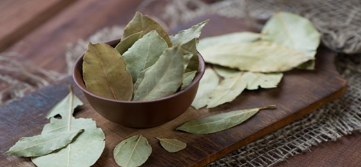 Bay Leaf Tej Patta