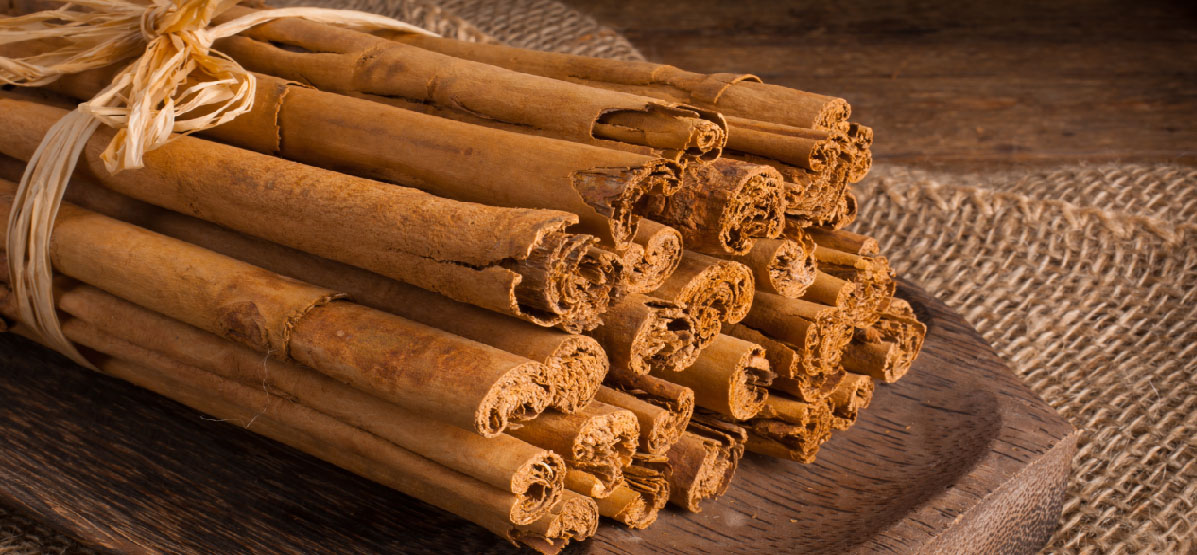 Cinnamon Dalchini