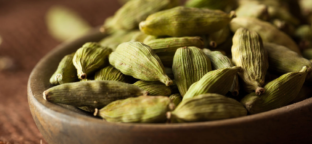 Cardamom Elaichi
