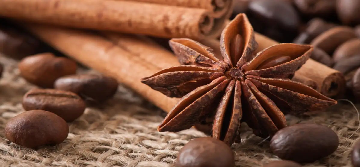 Star Anise Chakra Phool